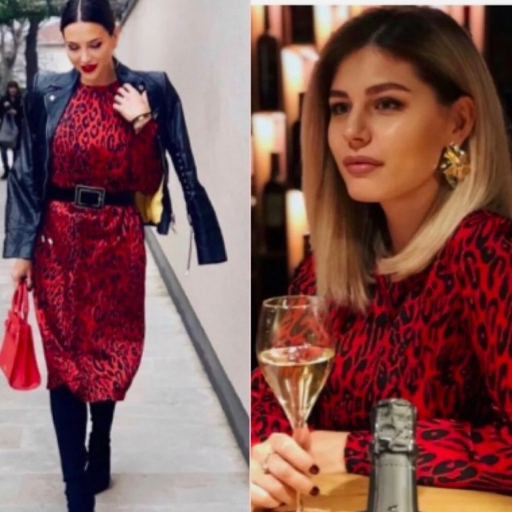 Zara Red Leopard Animal Print Midi Dress